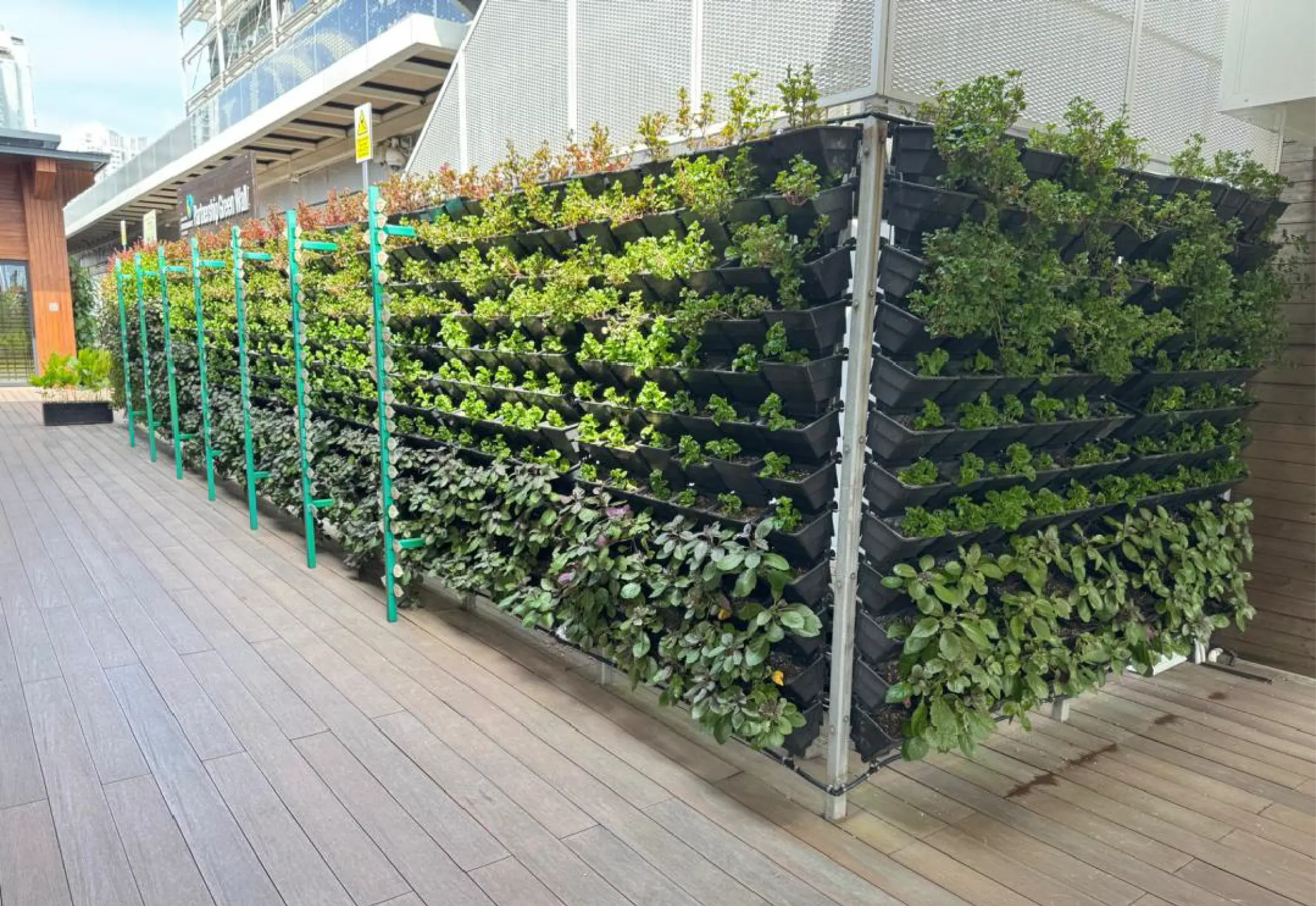 mGRO vertical green wall installation